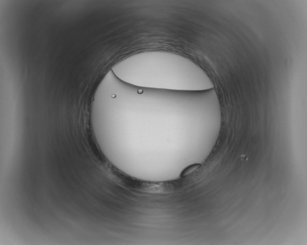 X0000111930083200908031126