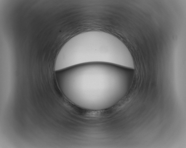 X0000111930084200908031126