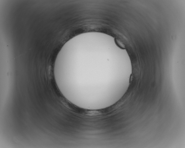 X0000111930087200908031126