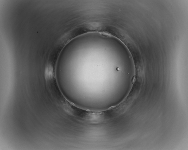 X0000111930089200908031126