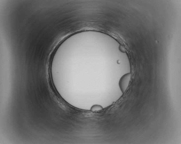 X0000111930098200908031126