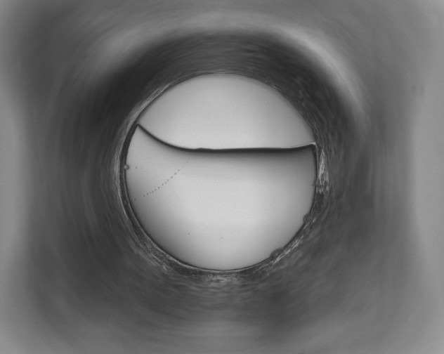 X0000111930099200908031126