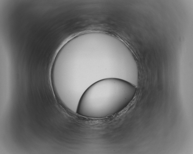 X0000111930100200908031126