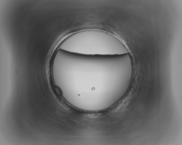 X0000111930103200908031126