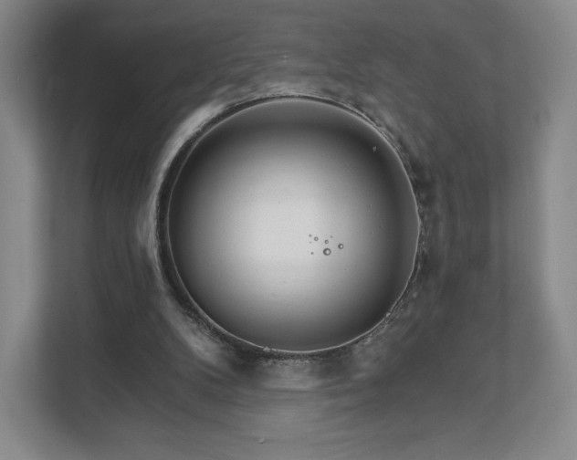 X0000111930104200908031126