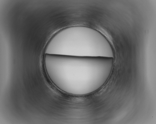 X0000111930107200908031126