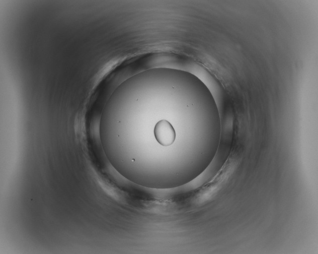 X0000111930112200908031126