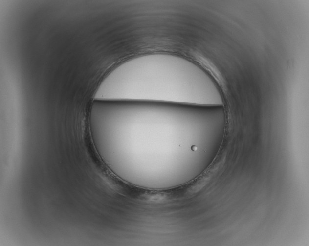 X0000111930113200908031126