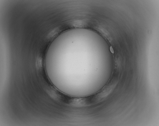 X0000111930117200908031126