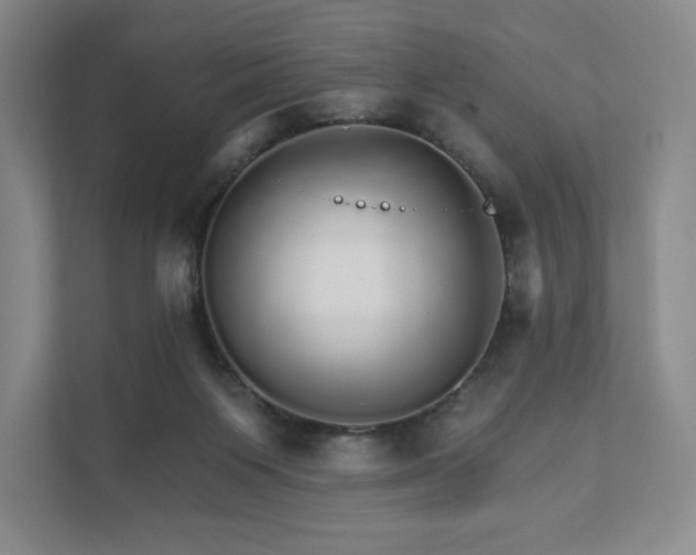 X0000111930119200908031126