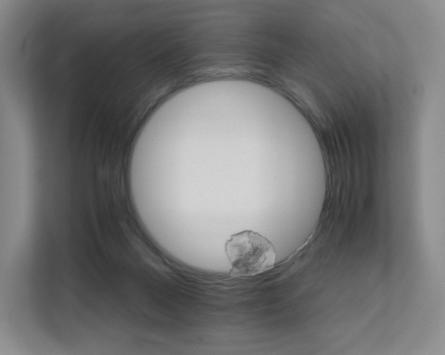 X0000111930120200908031126