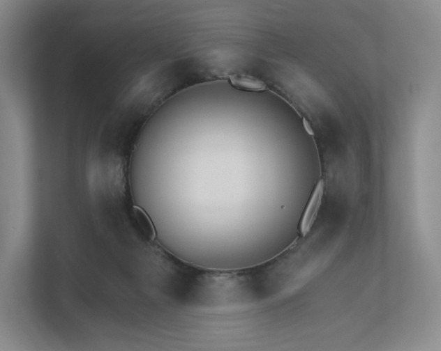 X0000111930121200908031126