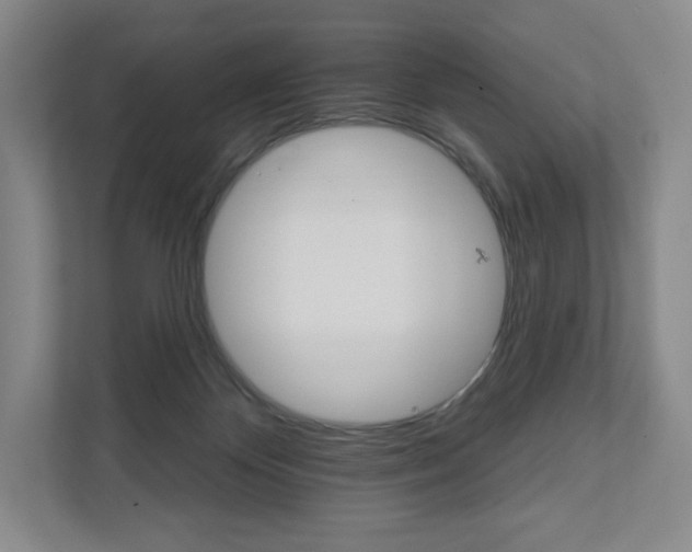 X0000111930124200908031126