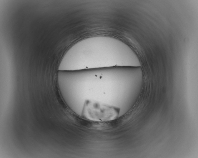 X0000111930125200908031126