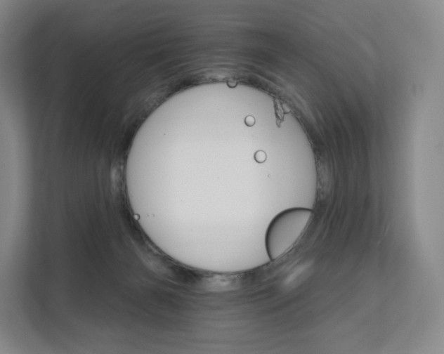 X0000111930126200908031126