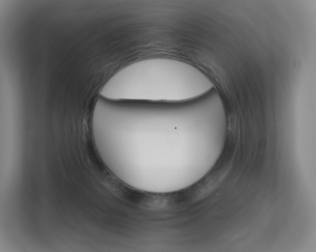 X0000111930127200908031126