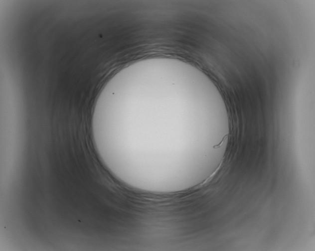 X0000111930128200908031126