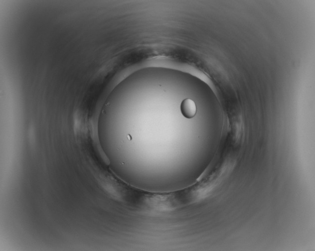 X0000111930129200908031126