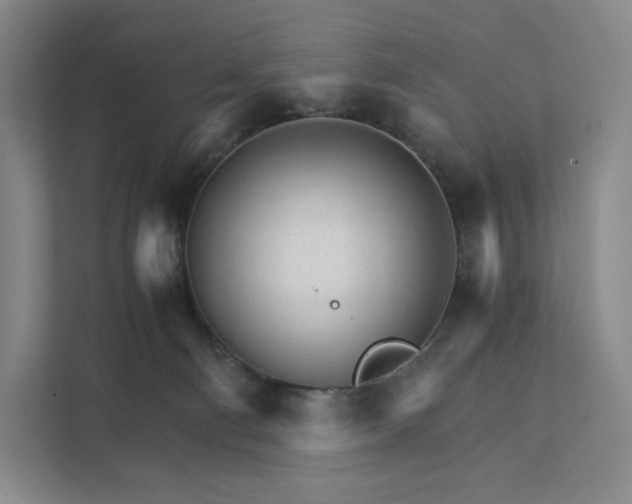 X0000111930130200908031126