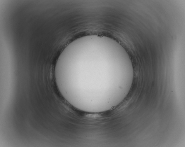 X0000111930133200908031125