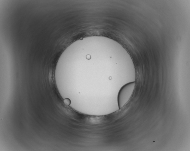 X0000111930134200908031125