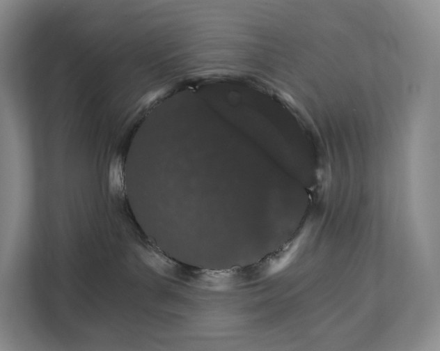 X0000111930143200908031125