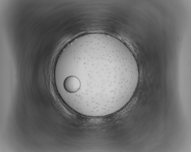 X0000111930145200908031125