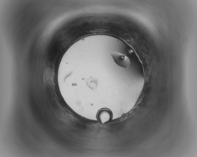 X0000111930146200908031125