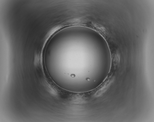 X0000111930148200908031125