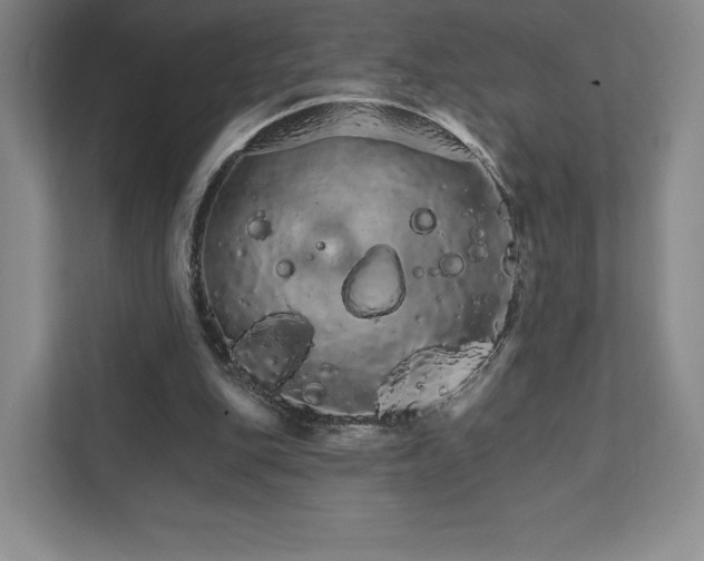 X0000111930151200908031125