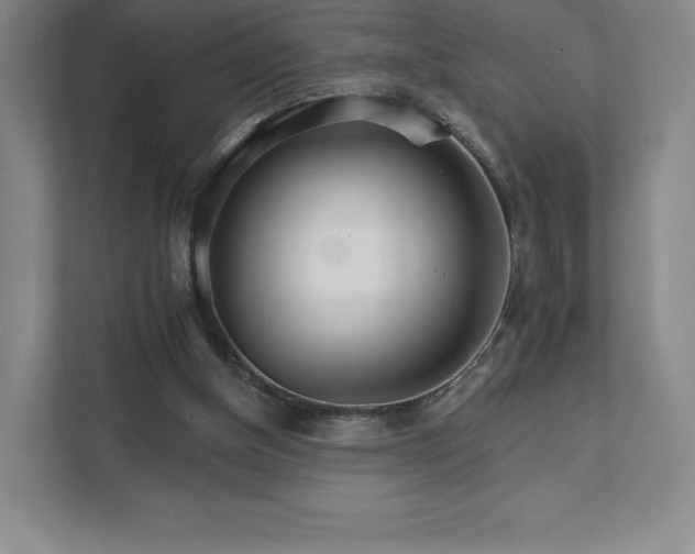 X0000111930154200908031125