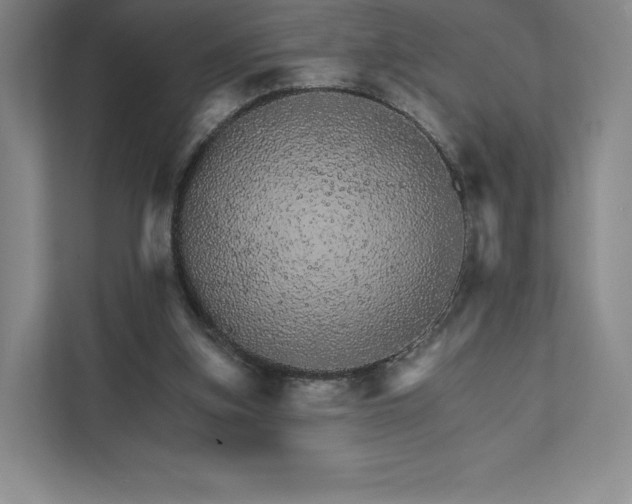 X0000111930155200908031125