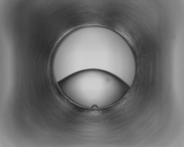 X0000111930156200908031125