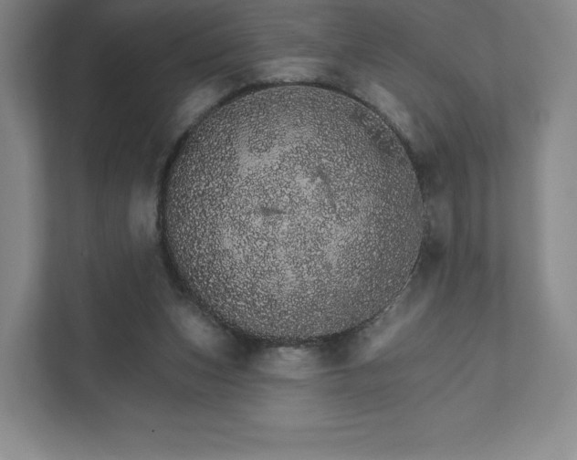 X0000111930159200908031125