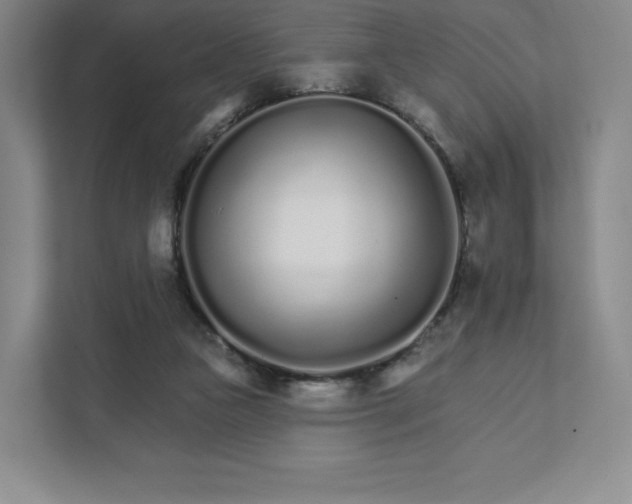 X0000111930161200908031125