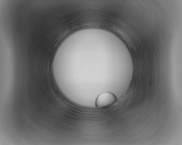 X0000111930168200908031125