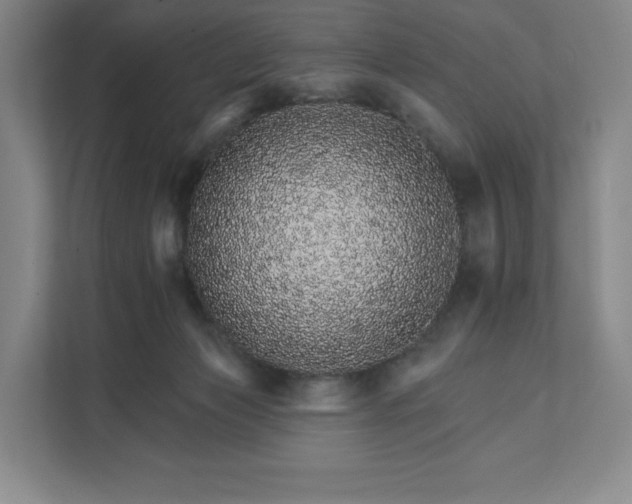 X0000111930173200908031125