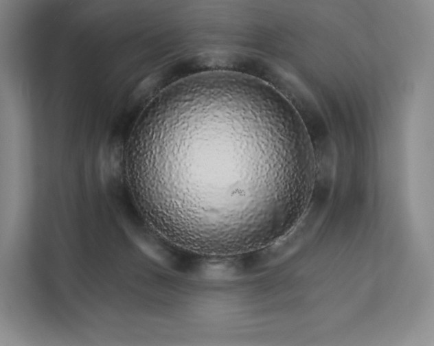 X0000111930175200908031125