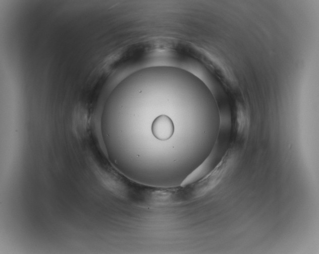 X0000111930176200908031125