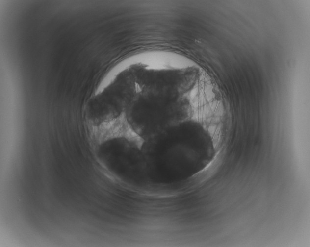 X0000111930179200908031125