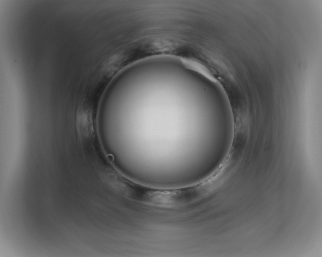 X0000111930182200908031125