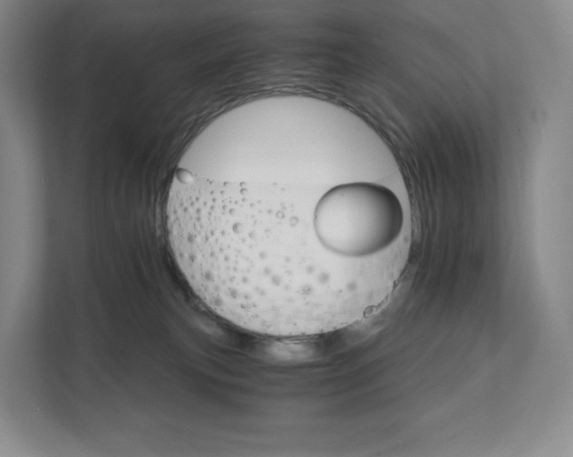 X0000111930183200908031125