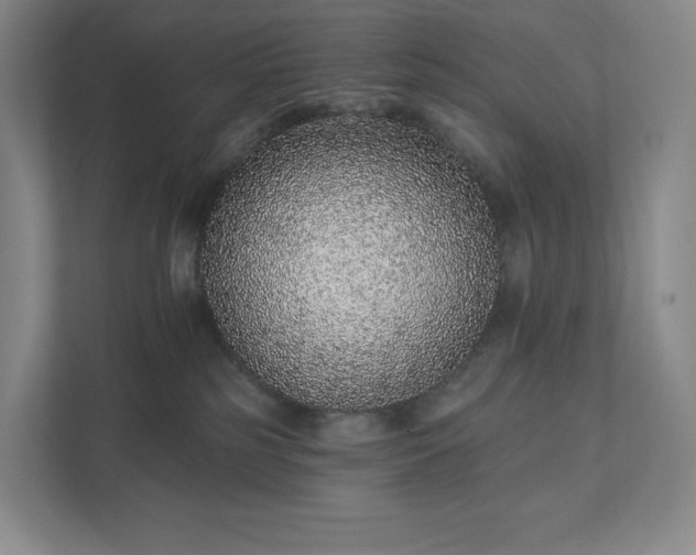 X0000111930185200908031125