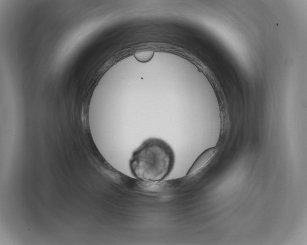 X0000111930191200908031125