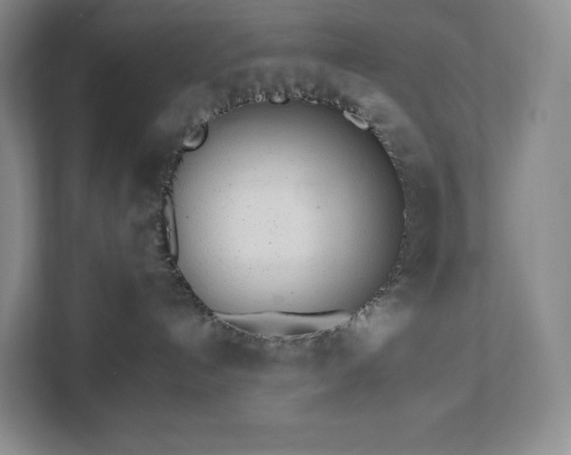 X0000111930192200908031125