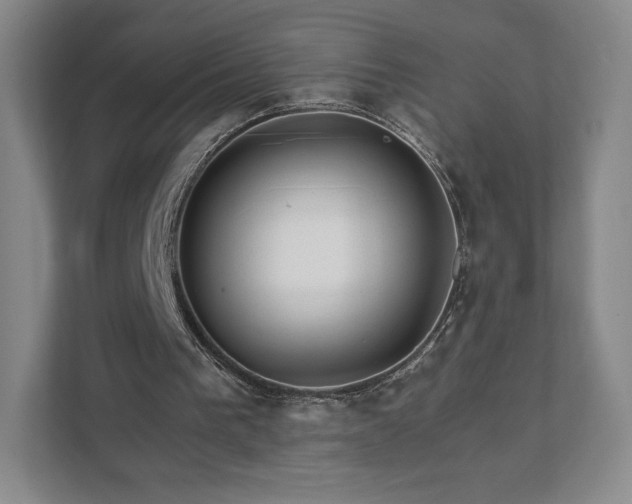 X0000111930193200908031125