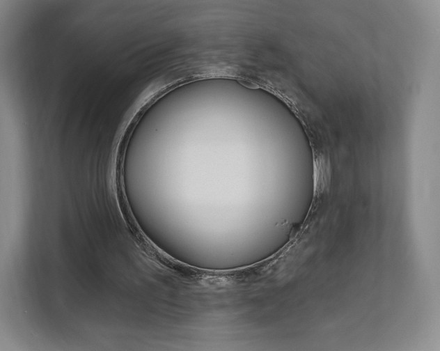 X0000111930195200908031125