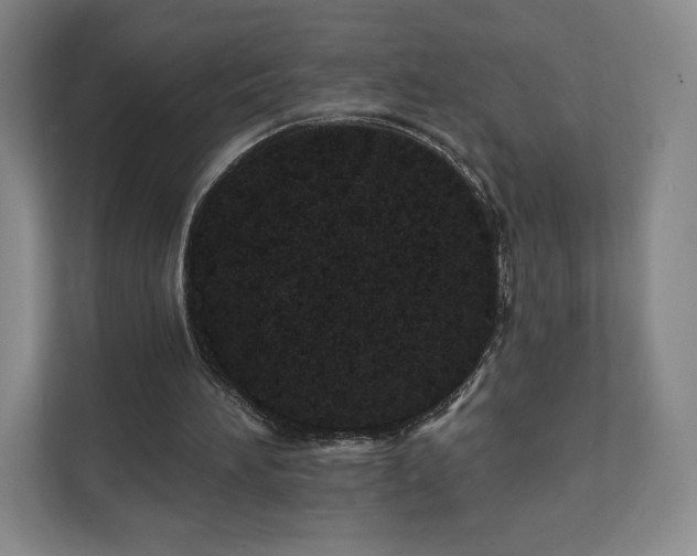 X0000111930196200908031125