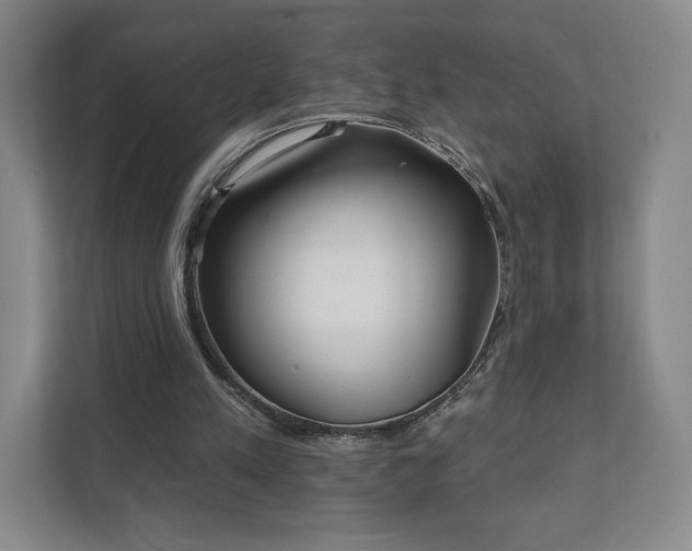 X0000111930197200908031125