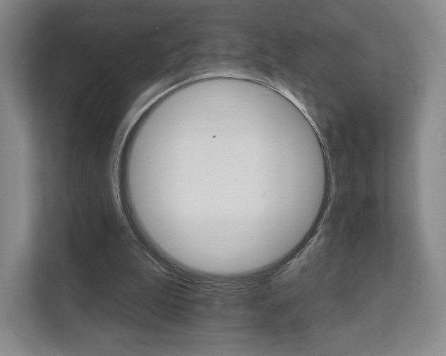 X0000111930199200908031125